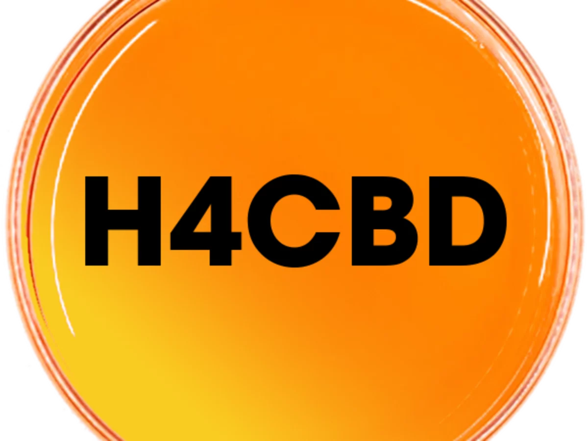 H4CBD原料　ディスティレート　50g  リキッド原料 H4CBD原料 ディスティレート 50g （H4CBD原料の販売を開始