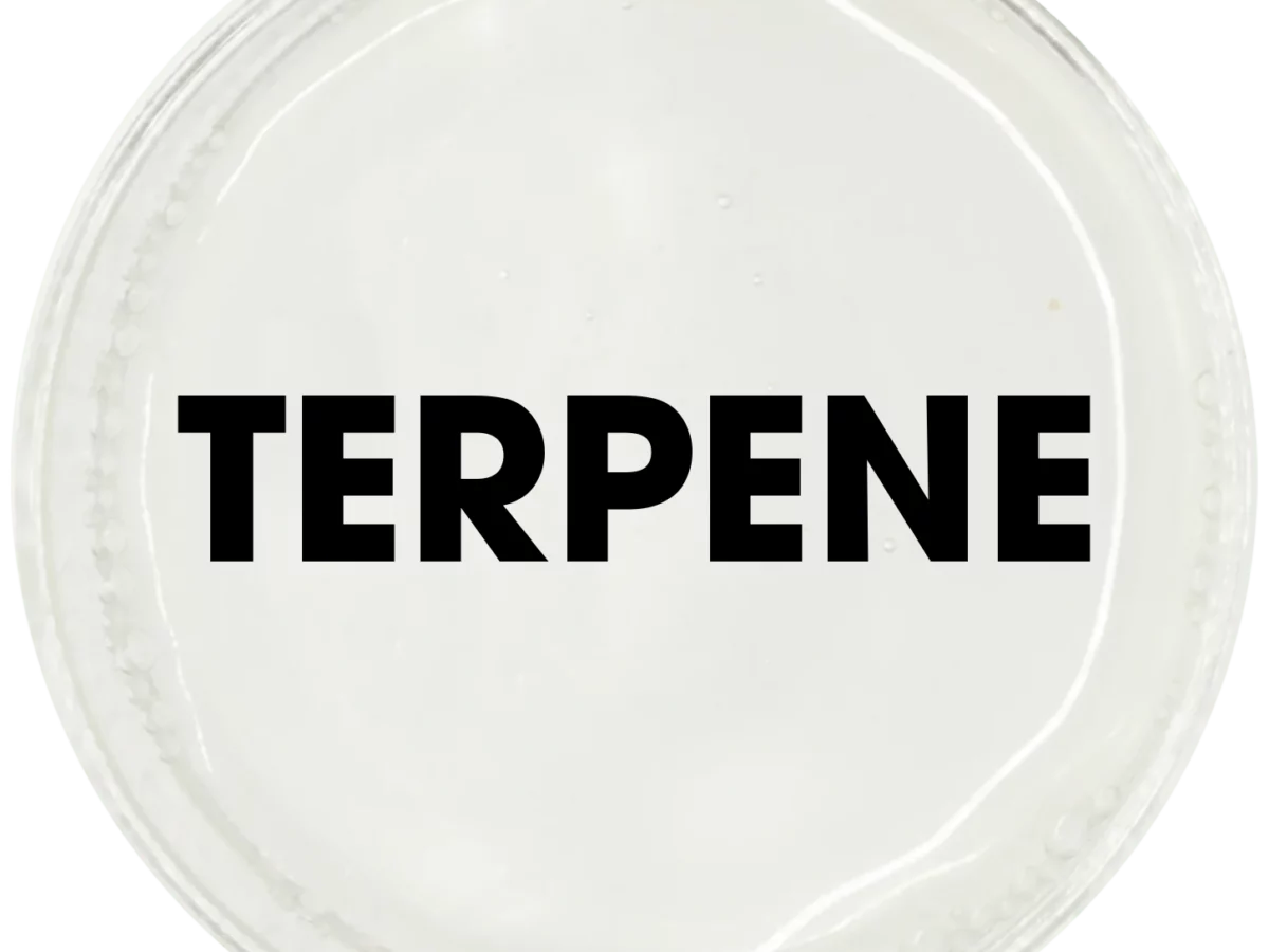TERPENE-1200x900.webp